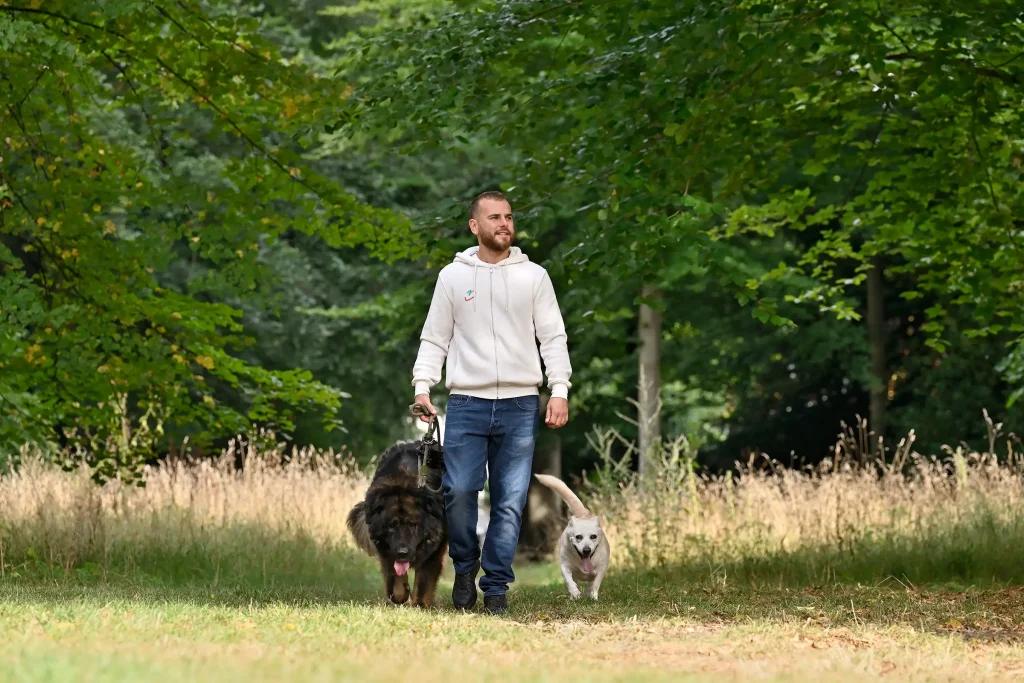 Mann geht mit 2 Hunden auf Wiese spazieren, im Hinergrund Bäume
