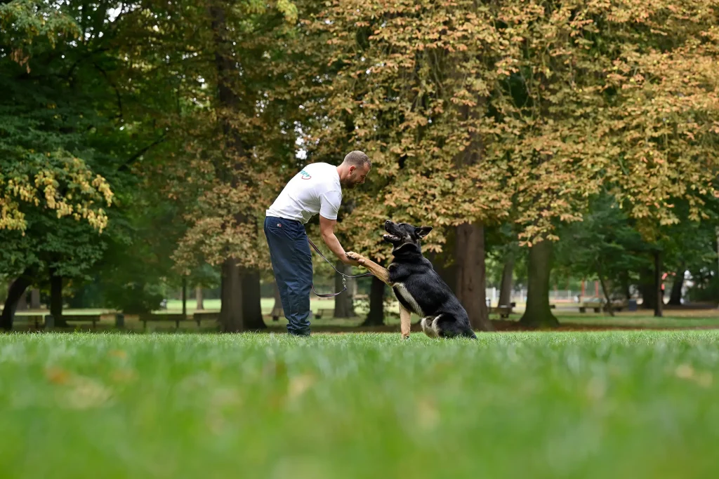 Hund reicht Mann die Pfote in Park