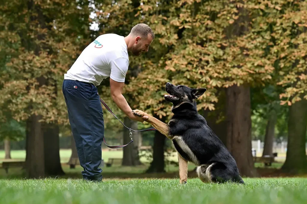 Hund reicht Mann die Pfote in Park